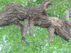 img0017.jpg