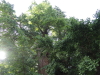 img0020.jpg