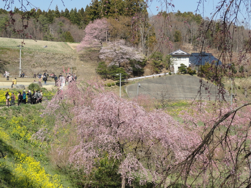 img0012.jpg