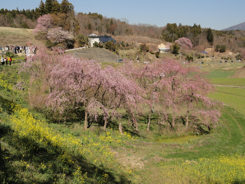 img0026.jpg