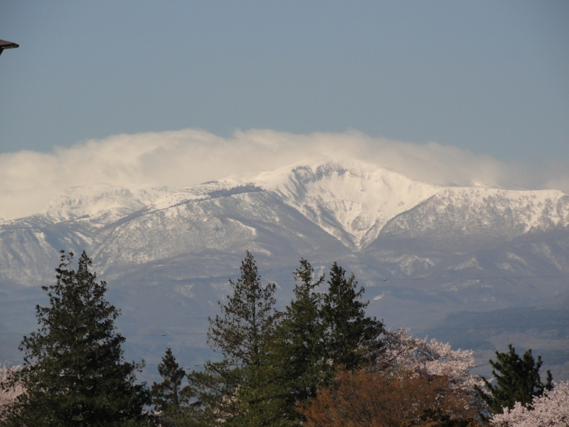 img0031.jpg