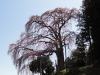 img0004.jpg