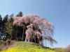 img0005.jpg