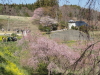 img0012.jpg