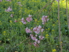 img0025.jpg