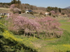img0026.jpg