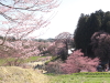 img0029.jpg