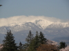 img0031.jpg