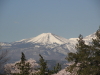 img0032.jpg