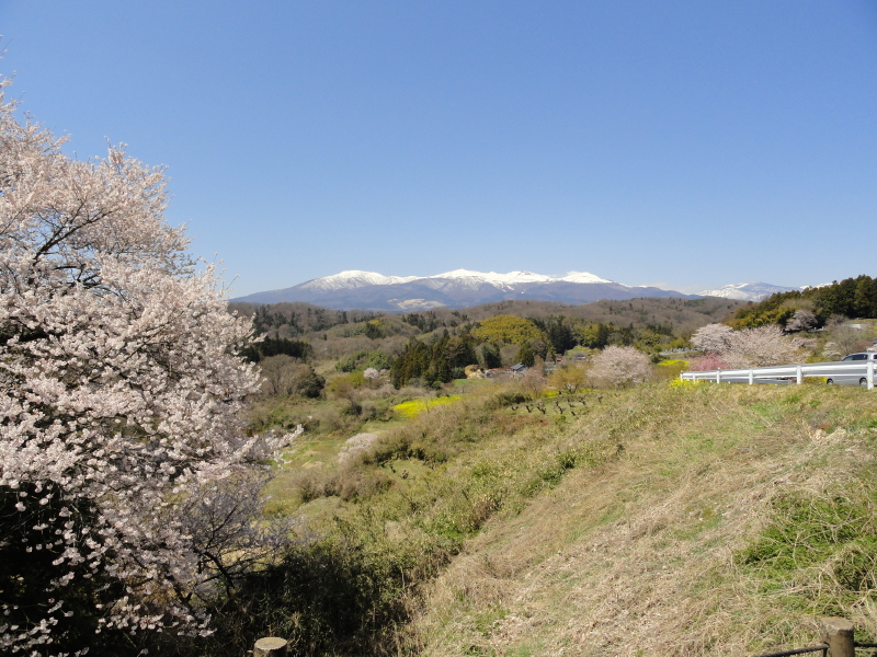 img0095.jpg