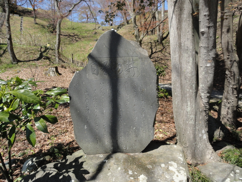 img0171.jpg