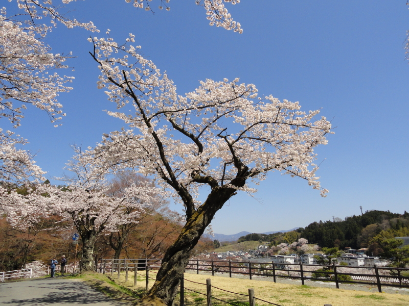 img0181.jpg
