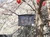 img0015.jpg