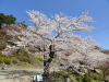 img0031.jpg