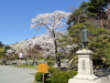 img0032.jpg