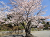 img0038.jpg