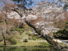 img0069.jpg