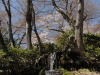 img0074.jpg