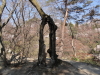 img0093.jpg