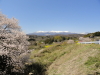 img0095.jpg