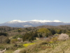 img0096.jpg