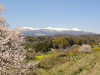 img0097.jpg