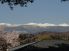 img0102.jpg