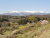 img0105.jpg