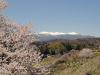 img0111.jpg