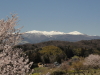 img0112.jpg