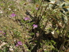 img0113.jpg