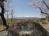 img0115.jpg