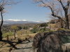 img0118.jpg
