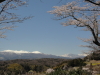 img0119.jpg