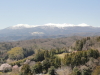 img0145.jpg