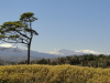 img0156.jpg