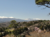 img0158.jpg