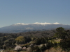 img0159.jpg