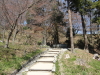 img0172.jpg