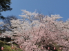 img0178.jpg