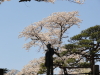 img0180.jpg