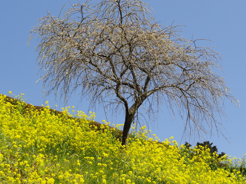 img0004.jpg