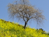 img0004.jpg