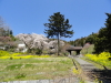 img0008.jpg