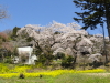 img0009.jpg