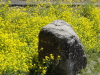 img0013.jpg