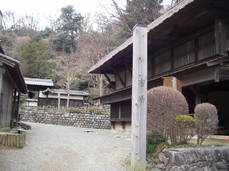 img0005.jpg