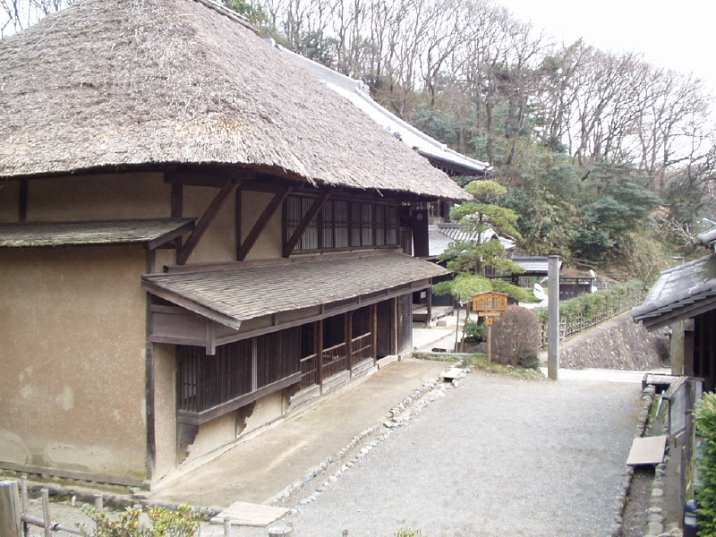 img0007.jpg