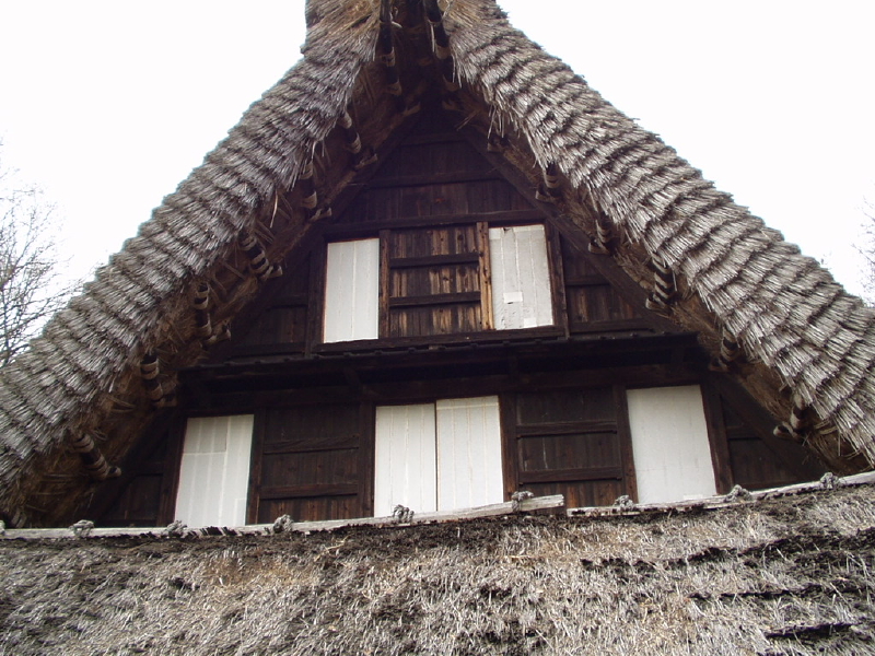 img0021.jpg