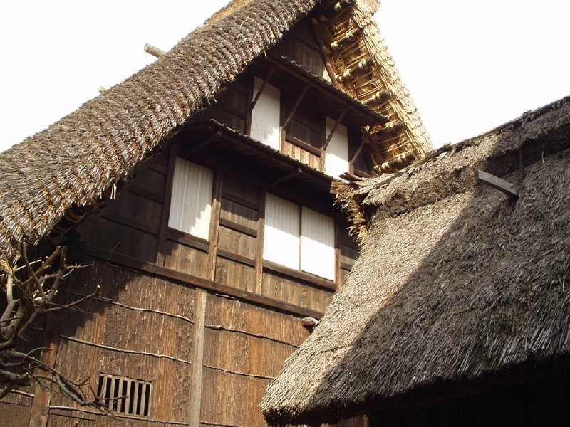 img0031.jpg